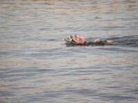 entrainement méze 044